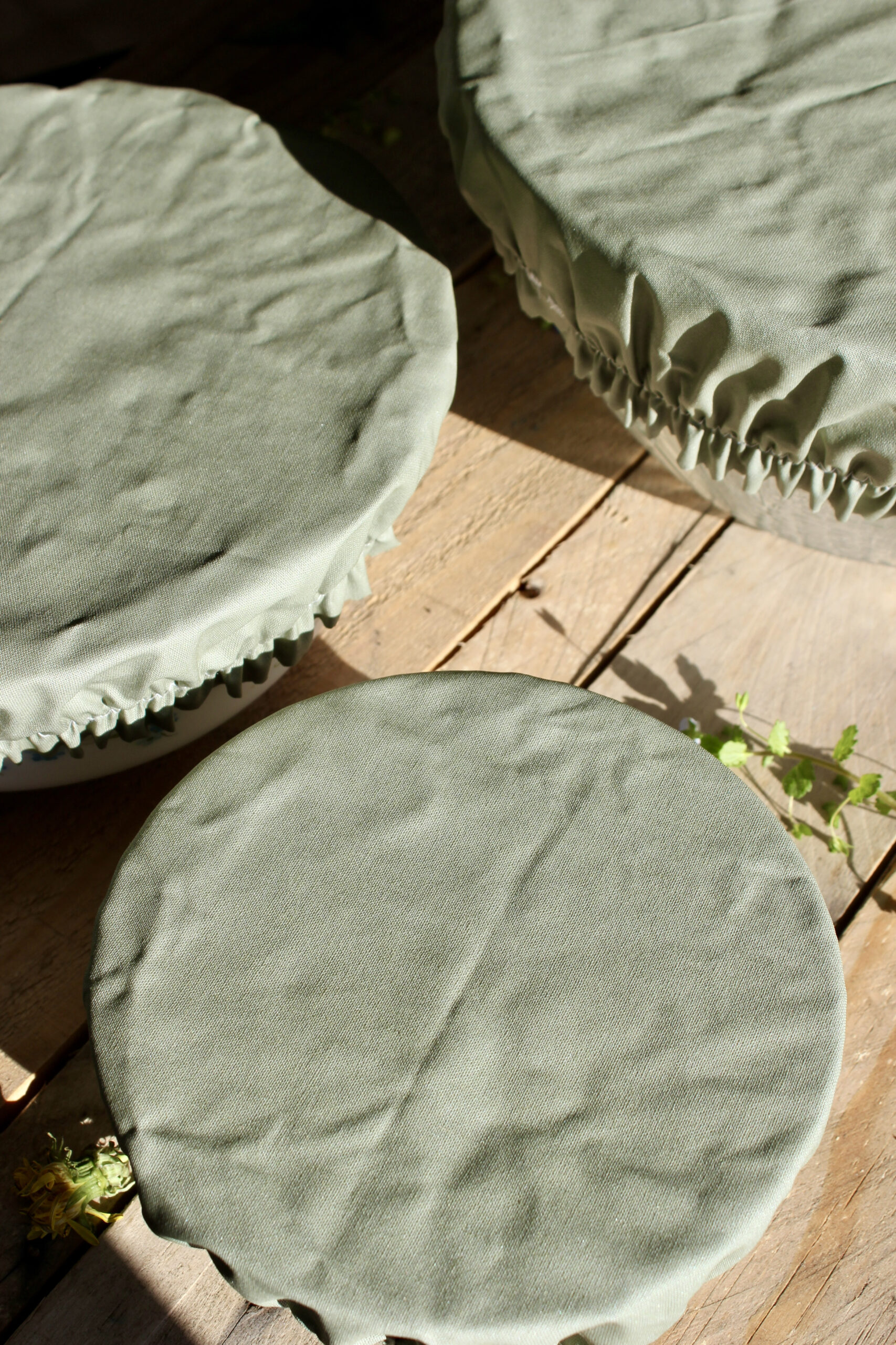 Charlotte à plat ronde – Couvre plat L – Image 2