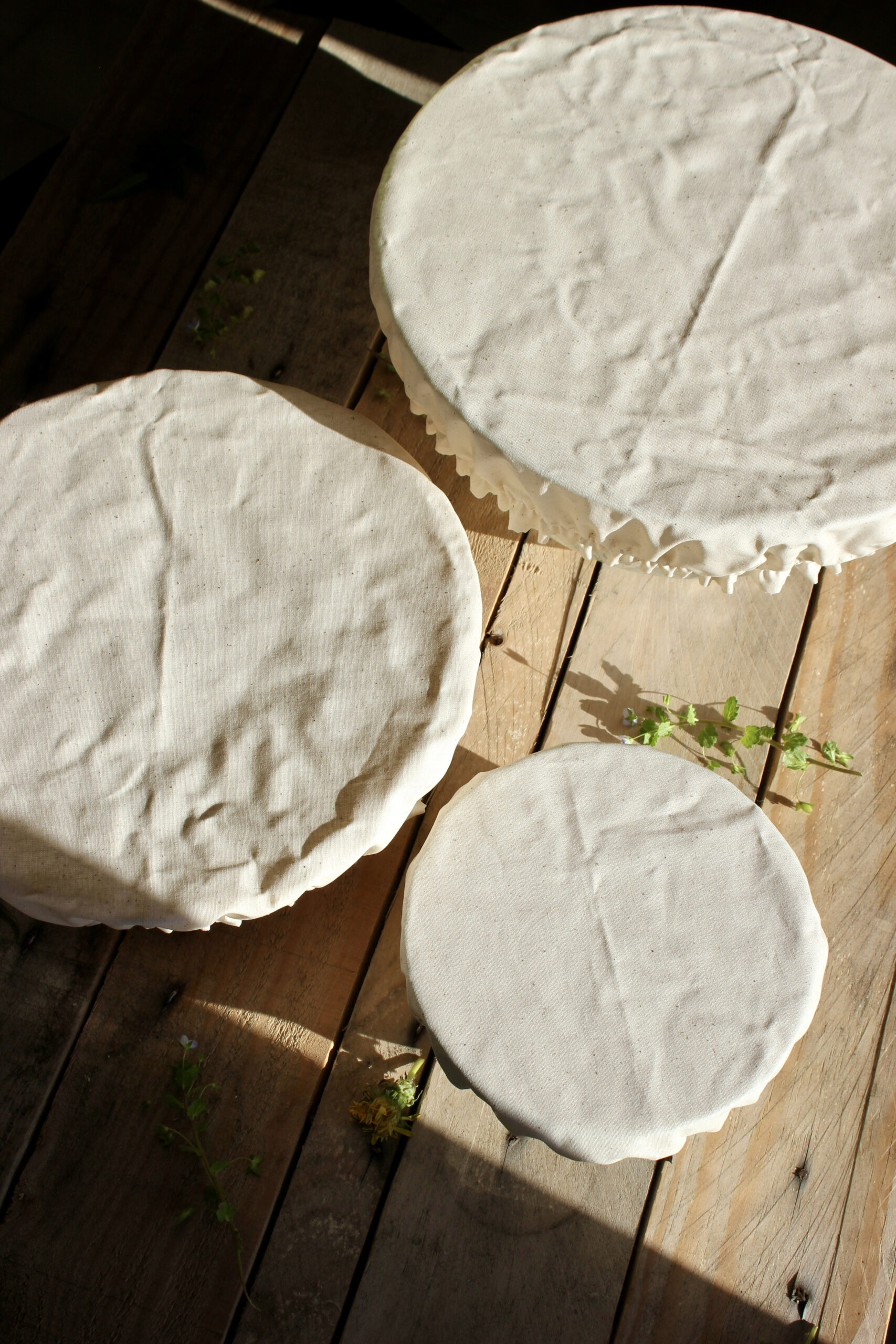 Charlotte à plat ronde – Couvre plat L – Image 3