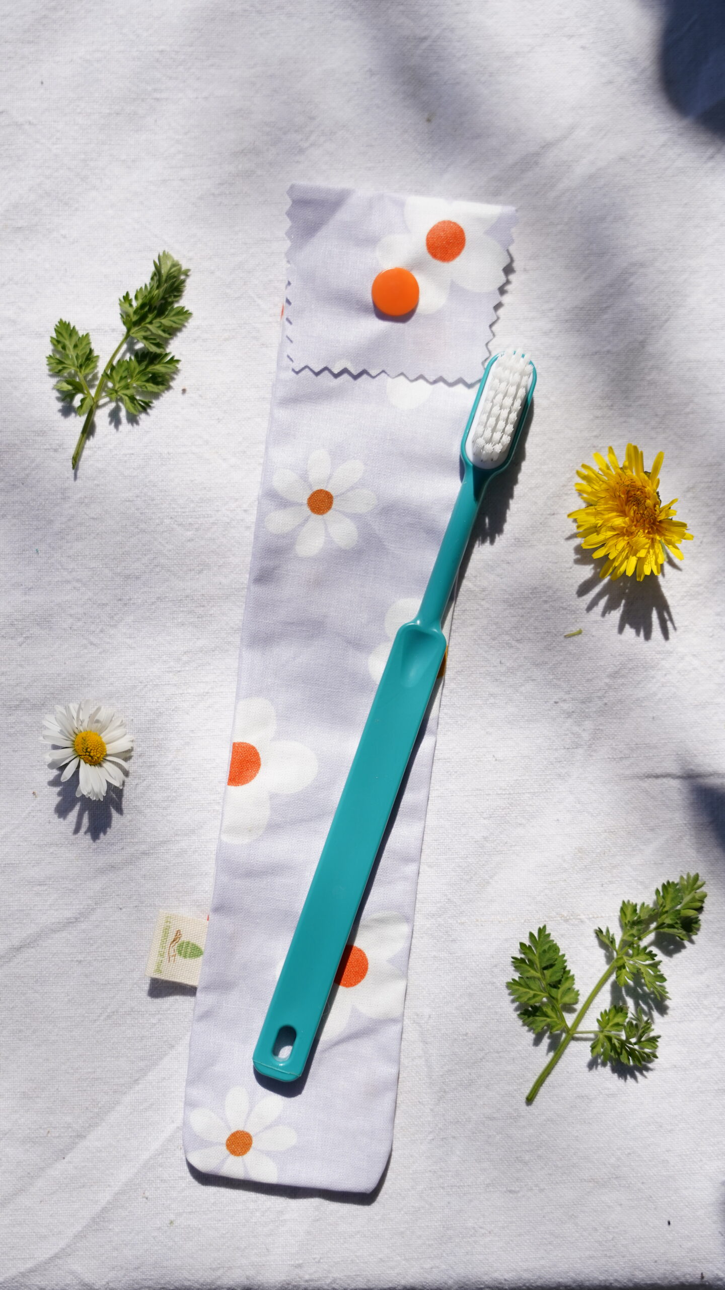 Etui brosse à dents