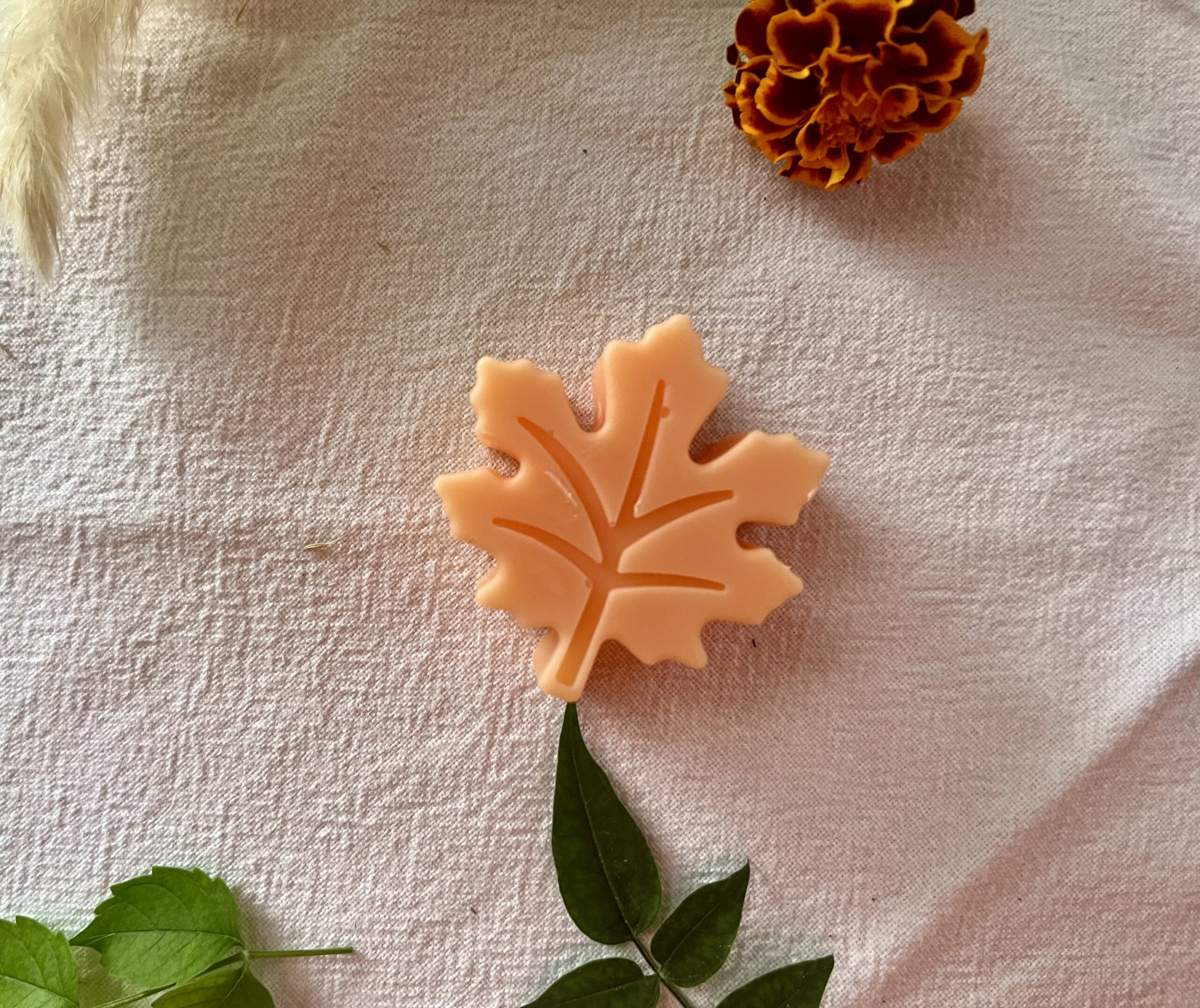 Fondant parfumĂ© – Collection Automne đ â Image 6