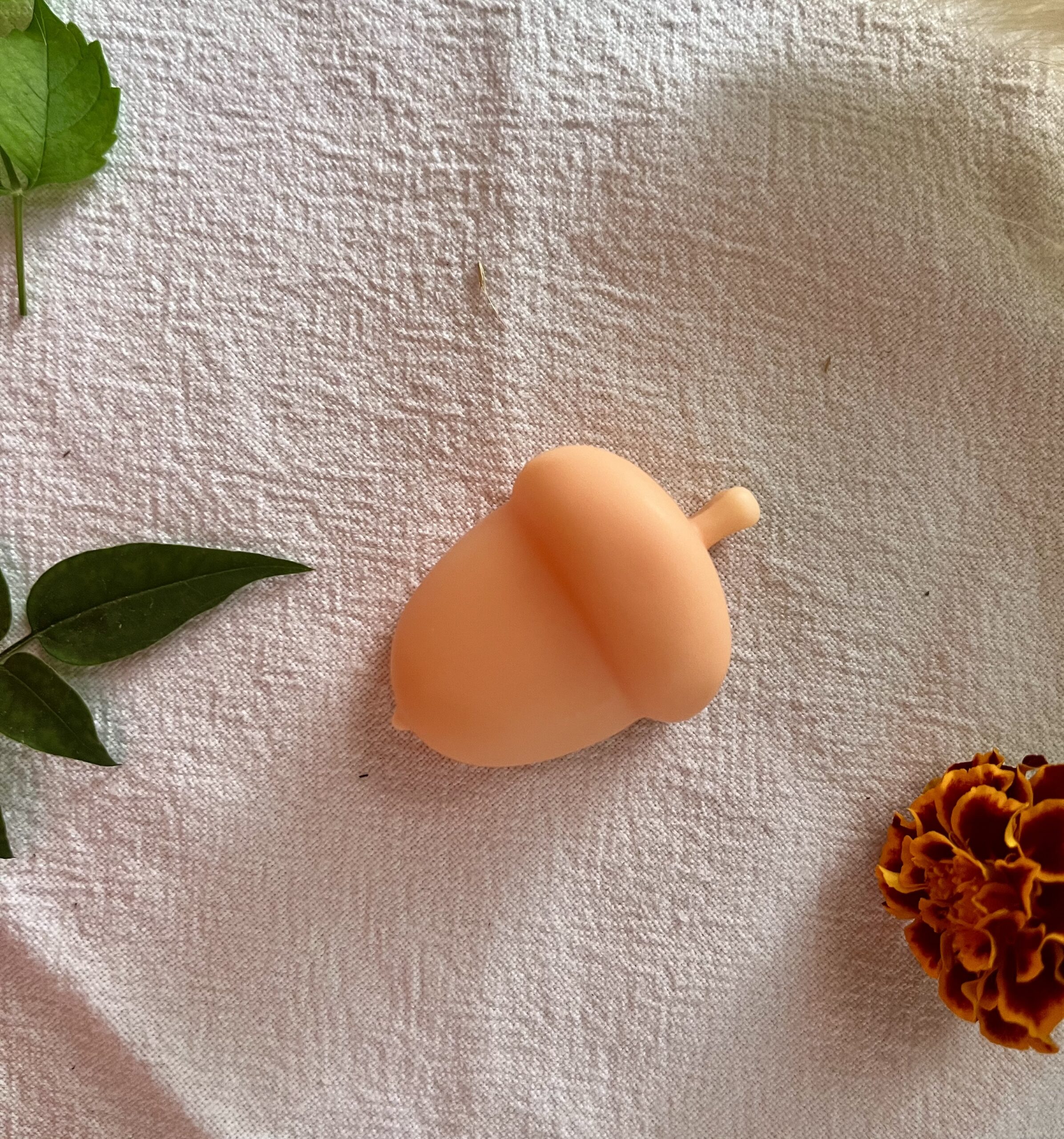 Fondant parfumĂ© – Collection Automne đ â Image 5