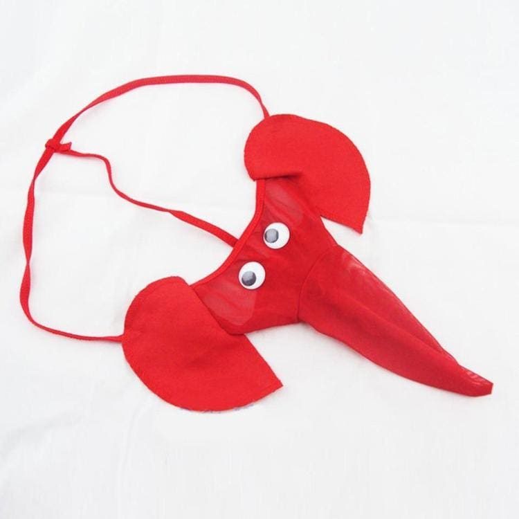 Caleçon Éléphant Vigoureux – Image 4