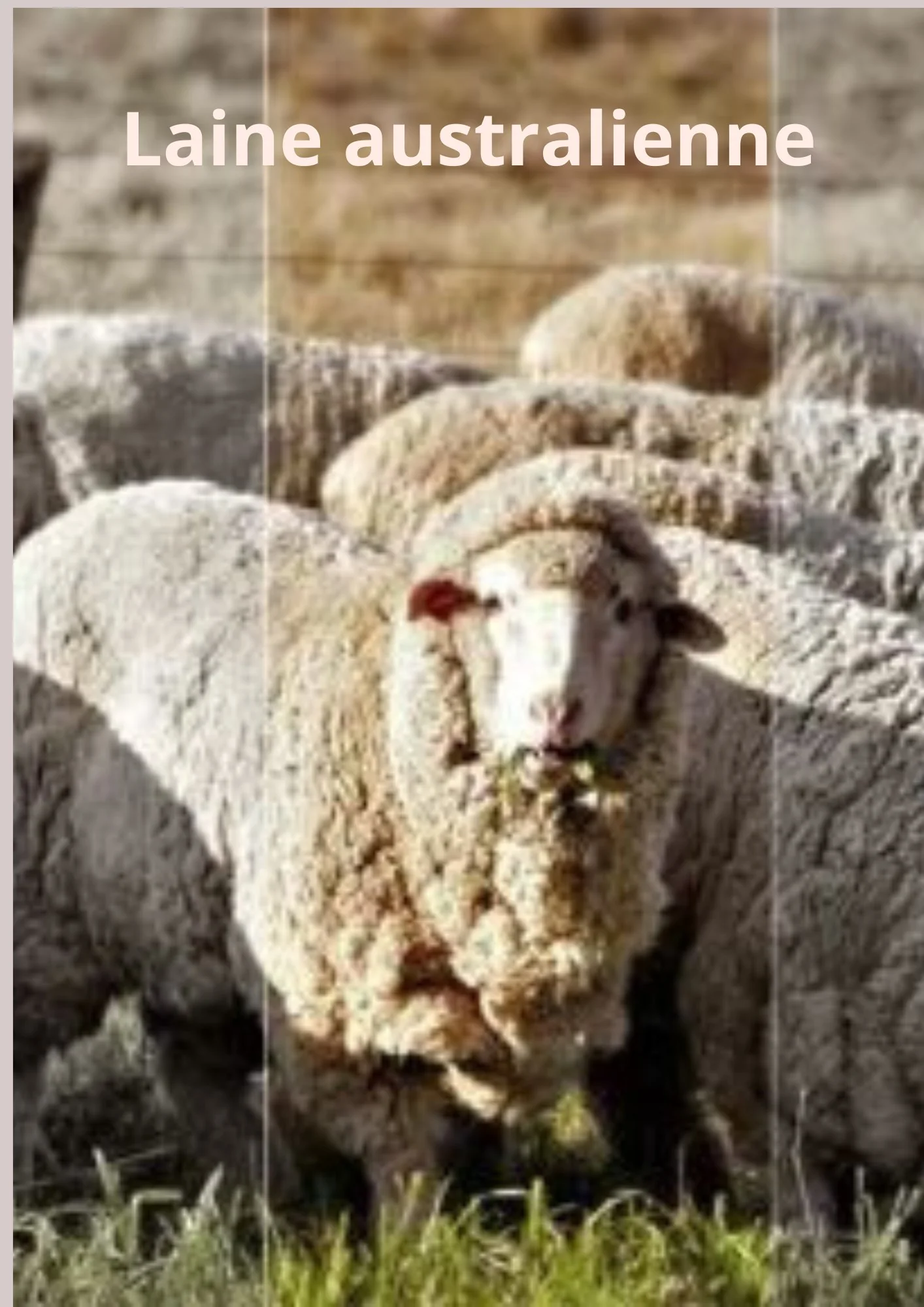 CHAPEAU HIVER FEMME – Image 6