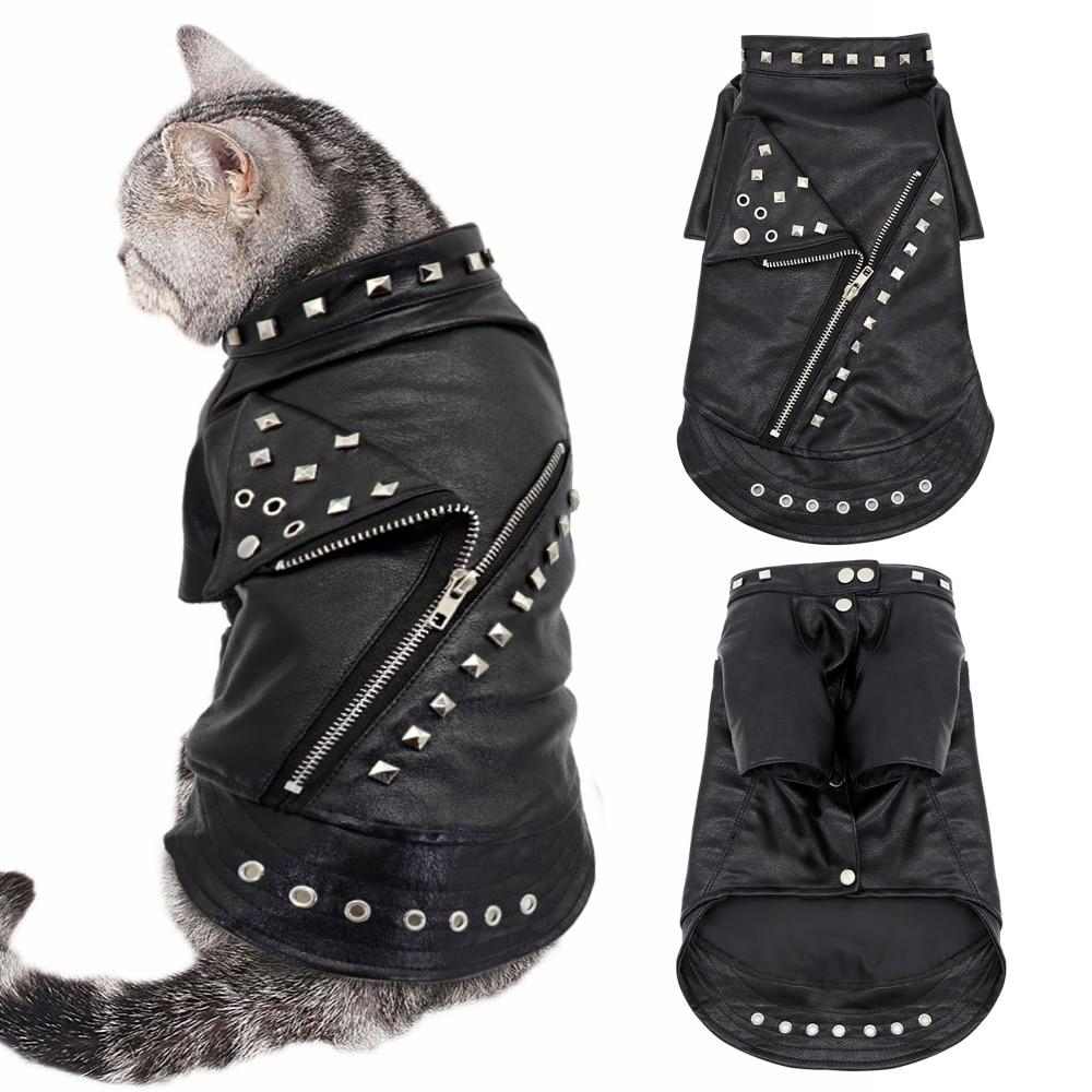 Veste de rockeur pour chat – Image 3